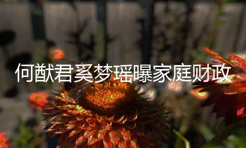 办公政状掌控梦瑶权属曝家何猷庭财君奚家族室况
